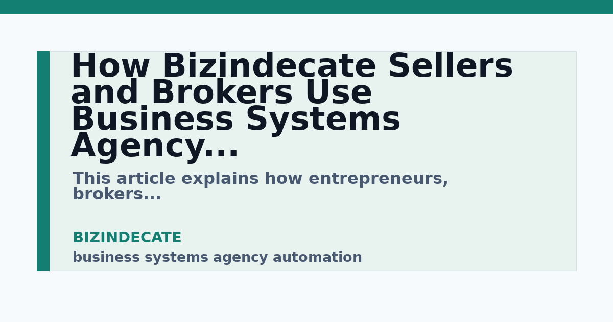business systems agency automation guide for Bizindecate