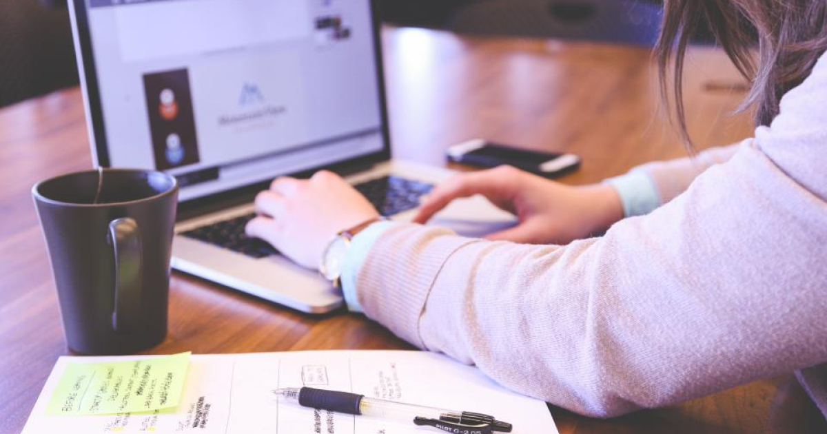 web development services automation implementation guide for Bizindecate